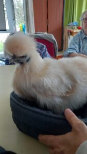 20230424_150257-rotated