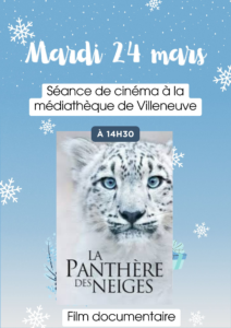 sortie-a-la-mediatheque