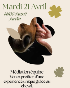 belle-experience-avec-l-equitherapie