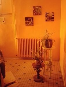 Plantes et tableaux